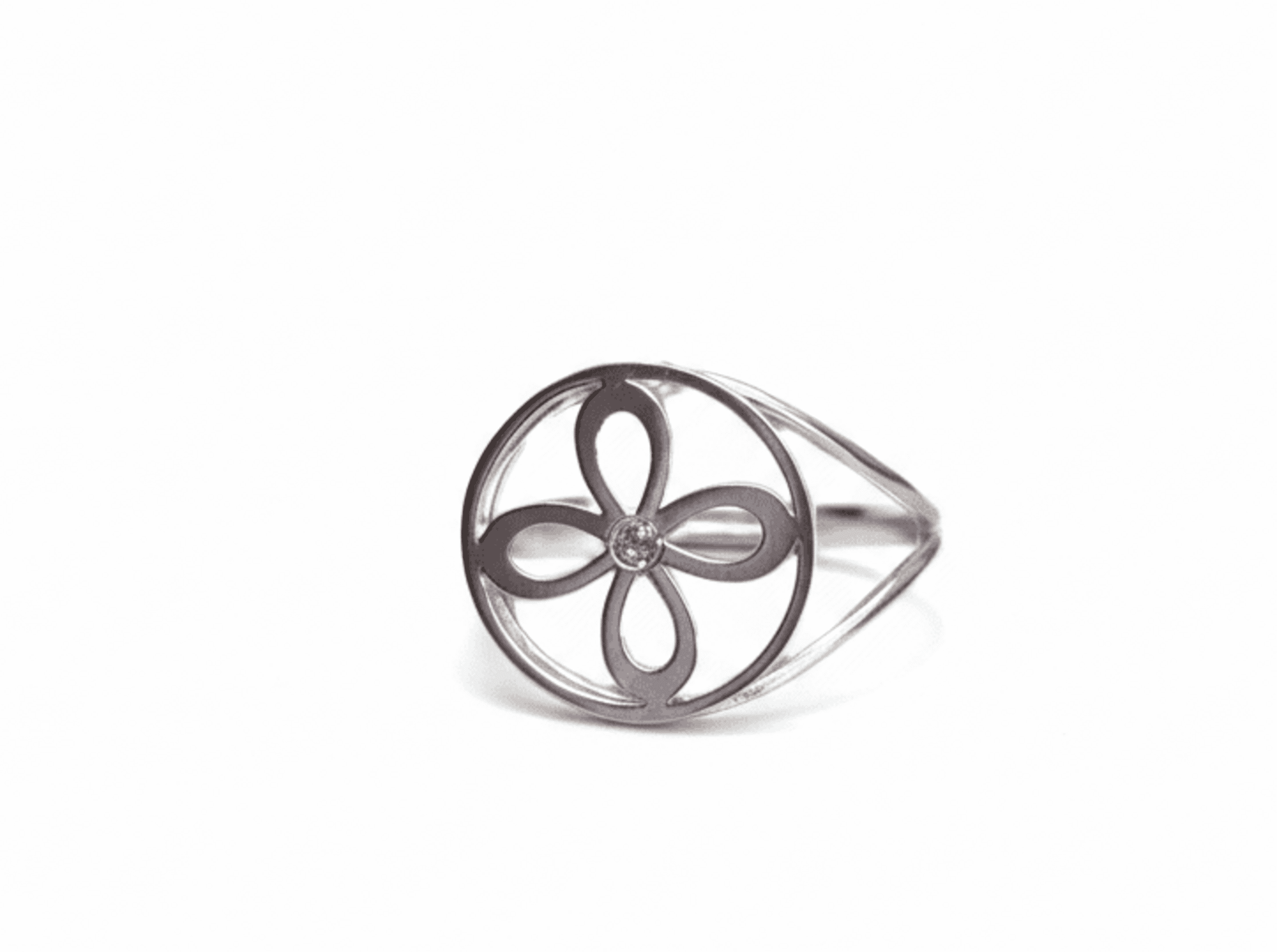 anillo sigilo de la abundancia - 1