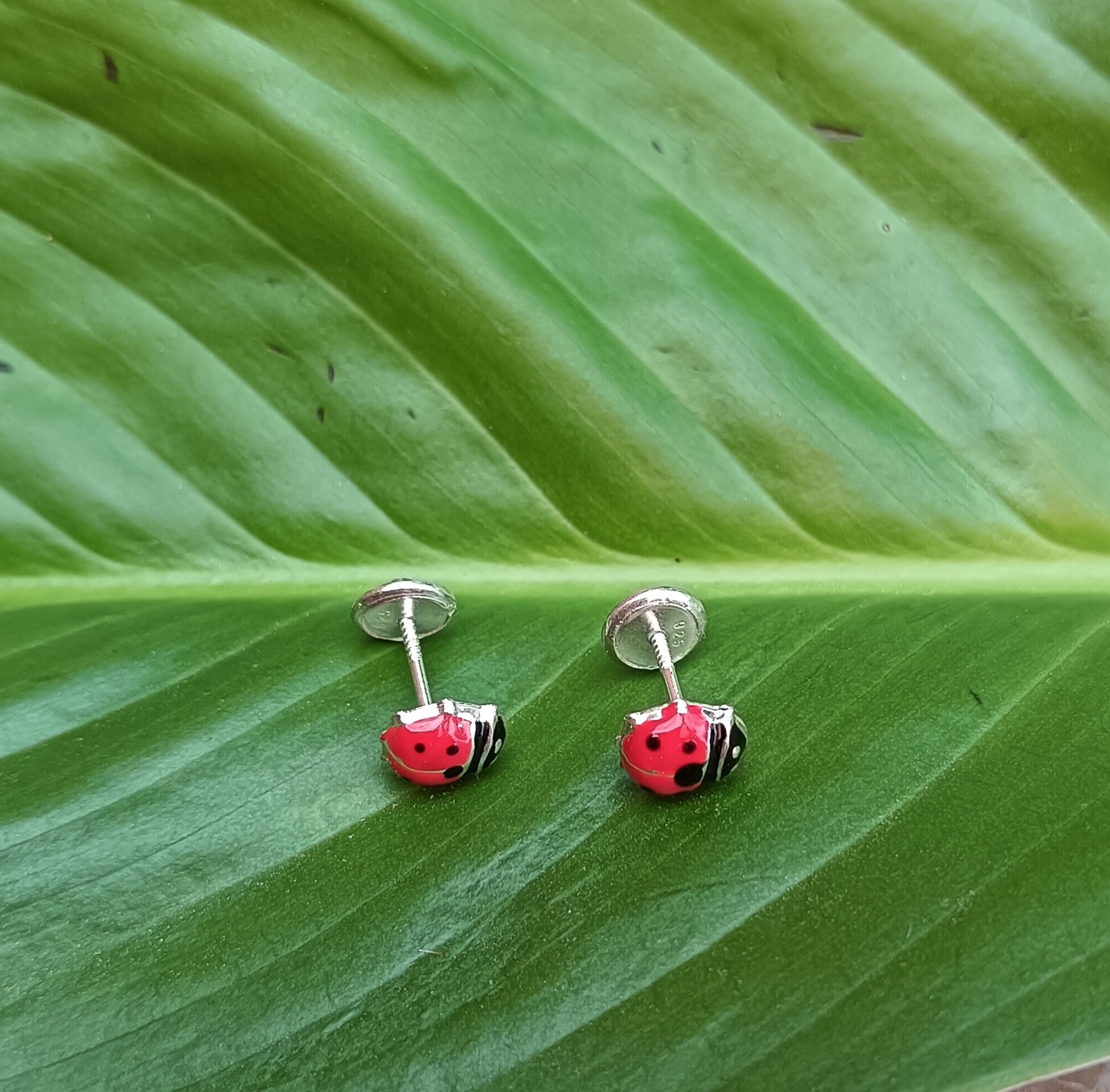 Pendientes mariquita roja - 3