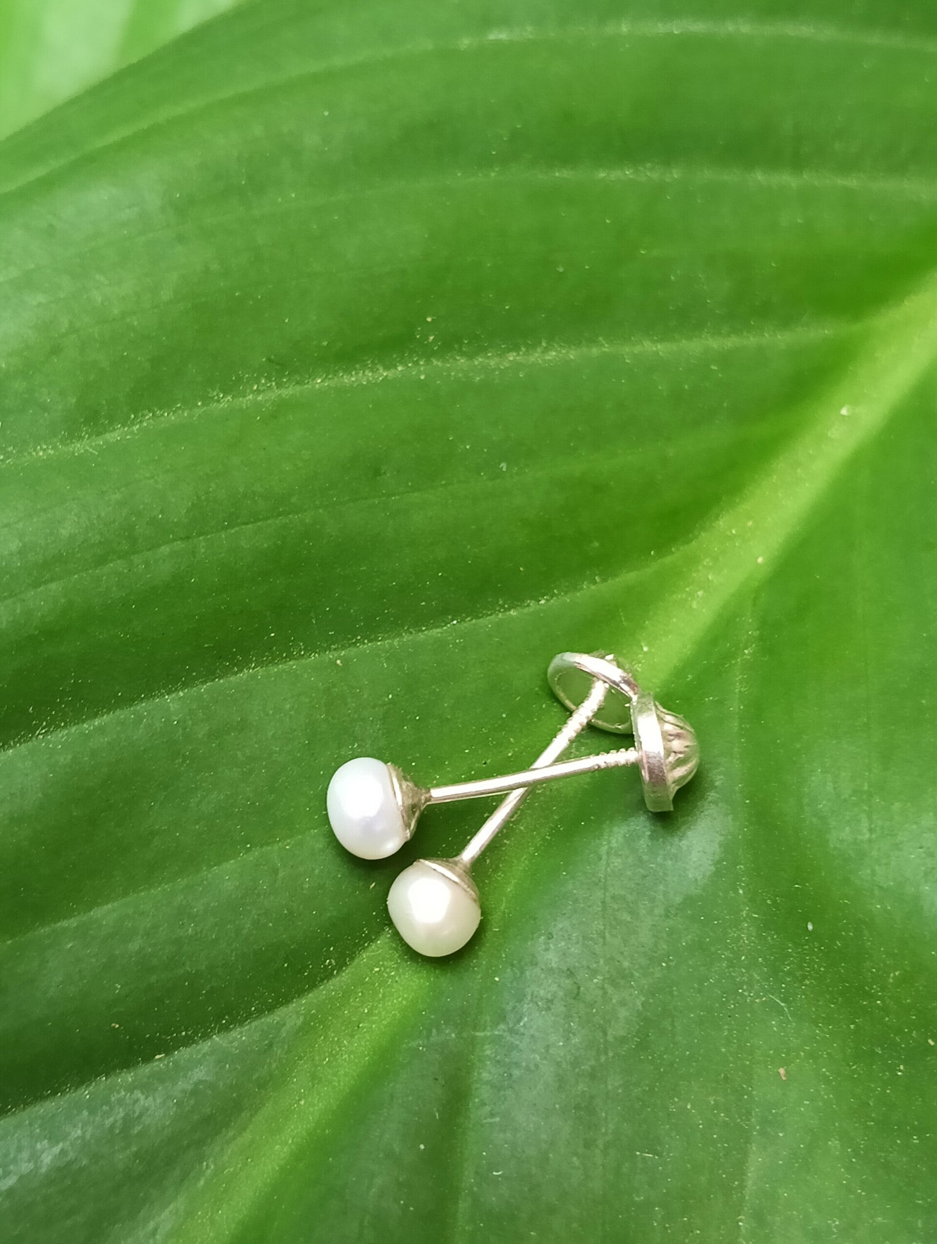 Pendientes perla cultivada - 2