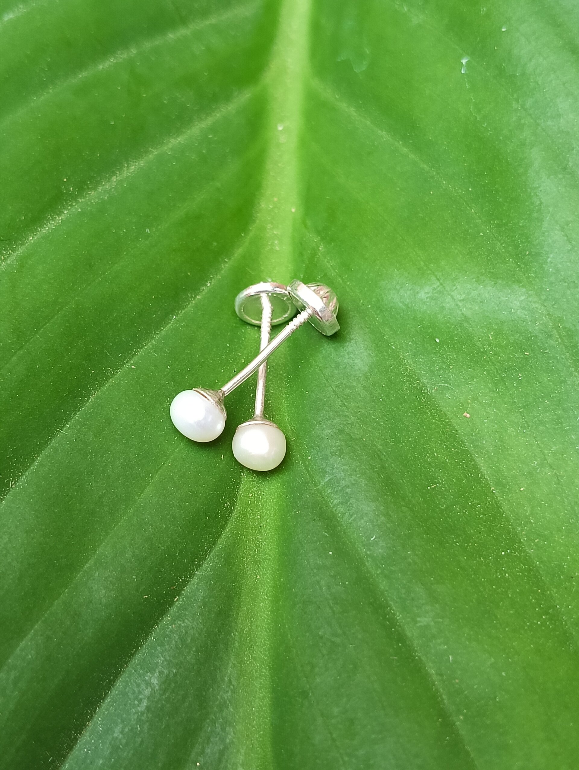 Pendientes perla cultivada - 3