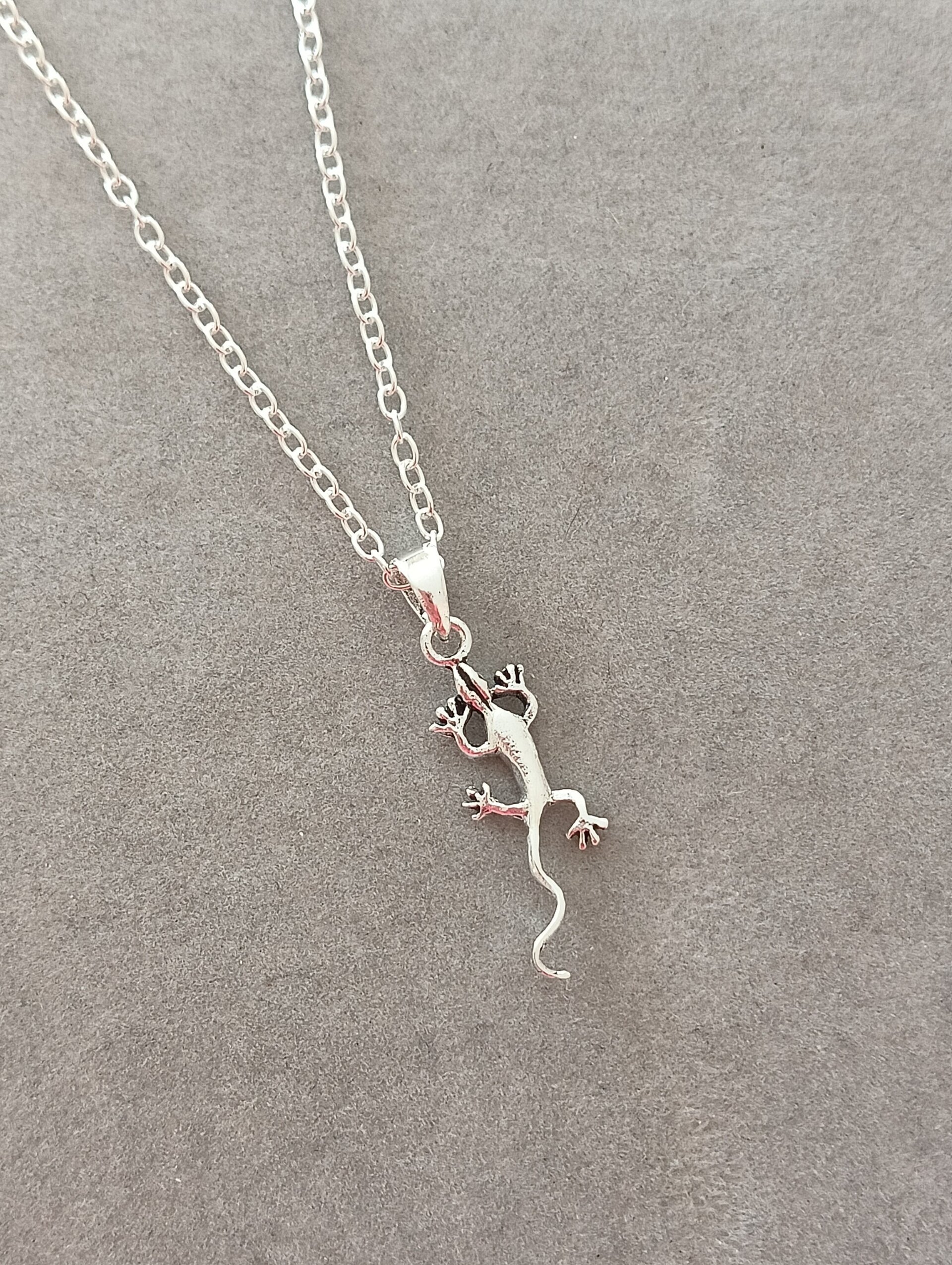 Collar gecko - 2