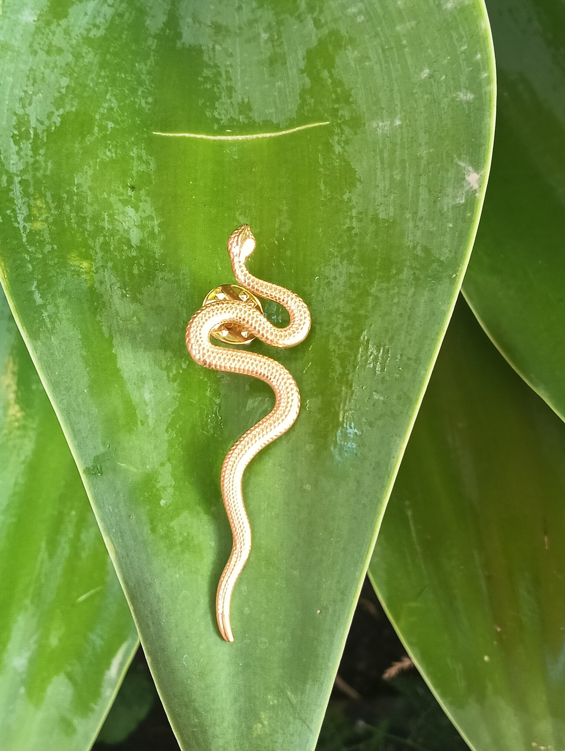 Broche serpiente dorada - 4