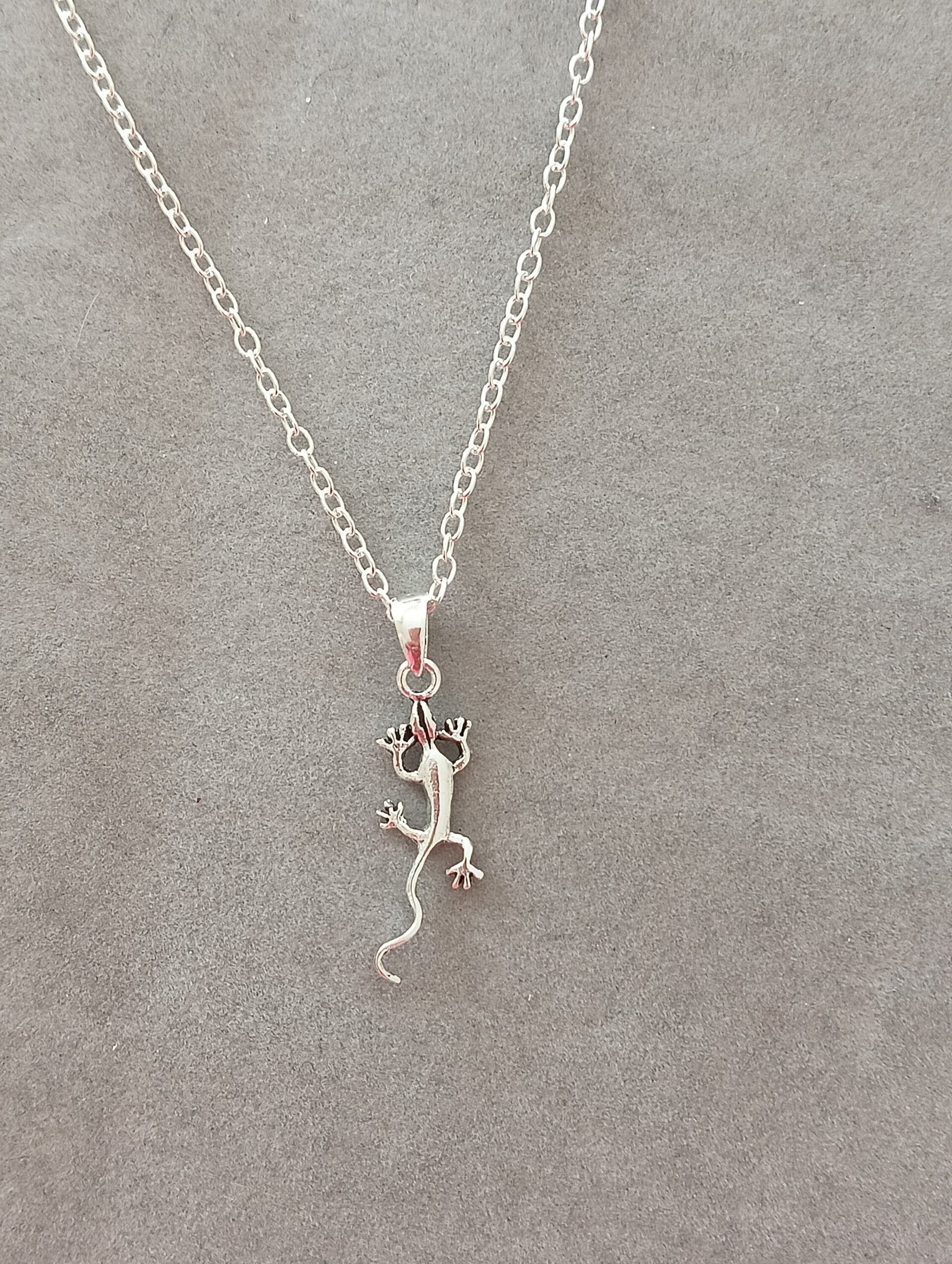 Collar gecko - 3